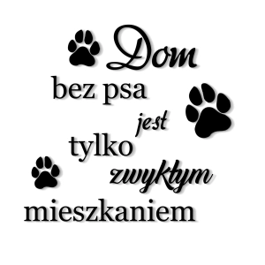 Bez nazwy-sdsdsd.jpg